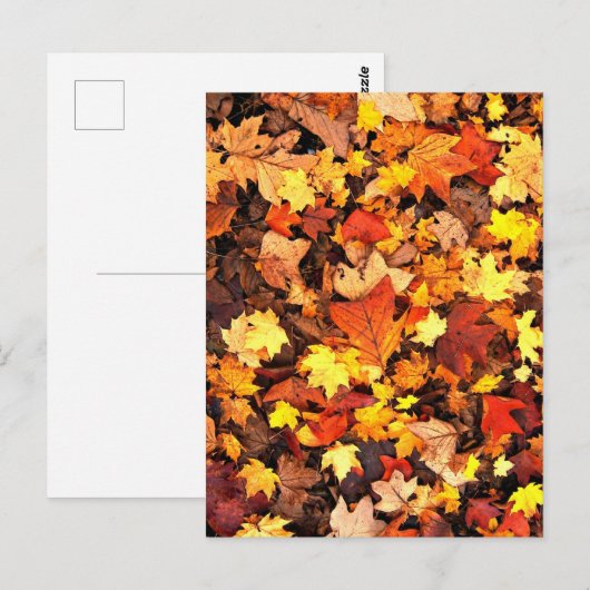 Herfstloof, de kleuren van de herfst briefkaart (Voorkant / Achterkant)
