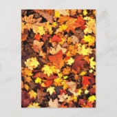 Herfstloof, de kleuren van de herfst briefkaart (Voorkant)