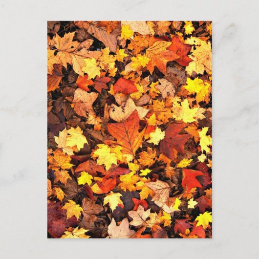 Herfstloof, de kleuren van de herfst briefkaart (Voorkant)