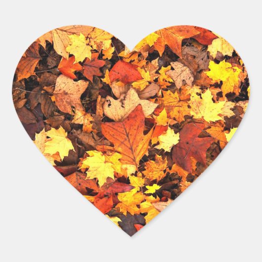 Herfstloof, de kleuren van de herfst hart sticker (Voorkant)