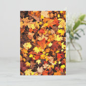 Herfstloof, de kleuren van de herfst kaart (Staand voorkant)