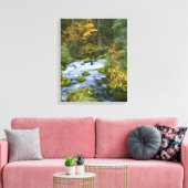 Herfstloof & Douglas sparrenrand Roaring River Canvas Afdruk (Insitu (Woonkamer))