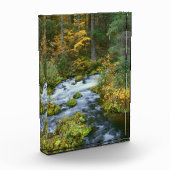 Herfstloof & Douglas sparrenrand Roaring River Fotoblokken (Links)