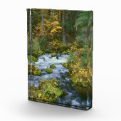 Herfstloof & Douglas sparrenrand Roaring River Fotoblokken (Rechts)