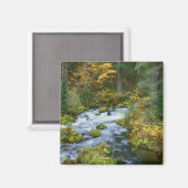 Herfstloof & Douglas sparrenrand Roaring River Magneet (Voorkant / Achterkant)