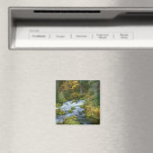 Herfstloof & Douglas sparrenrand Roaring River Magneet (Insitu (Vaatwasser))