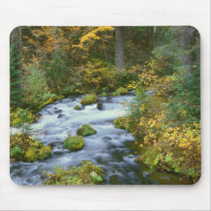 Herfstloof & Douglas sparrenrand Roaring River Muismat