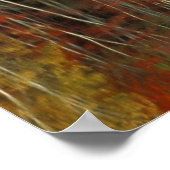Herfstloof en berkenreflecties; Hiawatha Poster (Hoek)