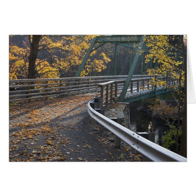 Herfstloof en een brug over de Millers (Voorkant Horizontaal)