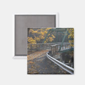 Herfstloof en een brug over de Millers Magneet (Voorkant / Achterkant)
