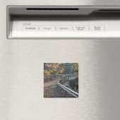 Herfstloof en een brug over de Millers Magneet (Insitu (Vaatwasser))