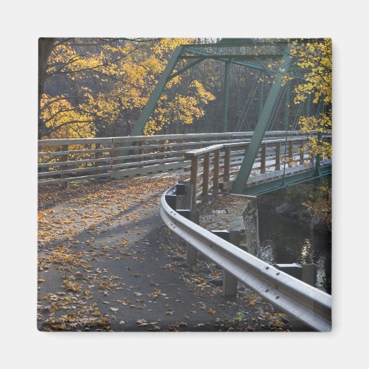 Herfstloof en een brug over de Millers Magneet (Voorkant)