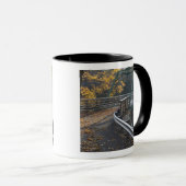 Herfstloof en een brug over de Millers Mok (Voorkant rechts)