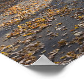 Herfstloof en een brug over de Millers Poster (Hoek)
