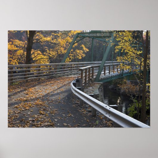 Herfstloof en een brug over de Millers Poster (Voorkant)