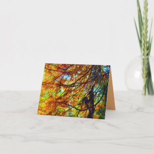 Herfstloof en Lichtkaart Kaart