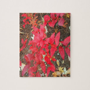 Herfstloof herfstkleuren foto legpuzzel
