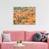 Herfstloof | Keweenaw schiereiland, Michigan Canvas Afdruk (Insitu (Woonkamer))