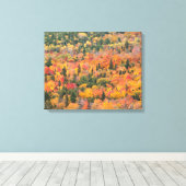 Herfstloof | Keweenaw schiereiland, Michigan Canvas Afdruk (Insitu (Houten vloer))