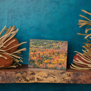 Herfstloof Keweenaw-schiereiland, Michigan Fotoplaat