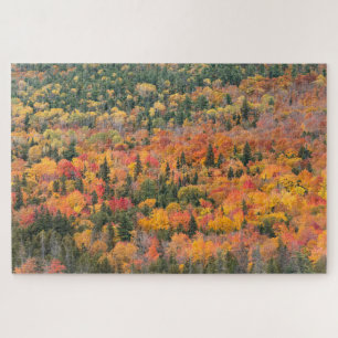 Herfstloof   Keweenaw schiereiland, Michigan Legpuzzel
