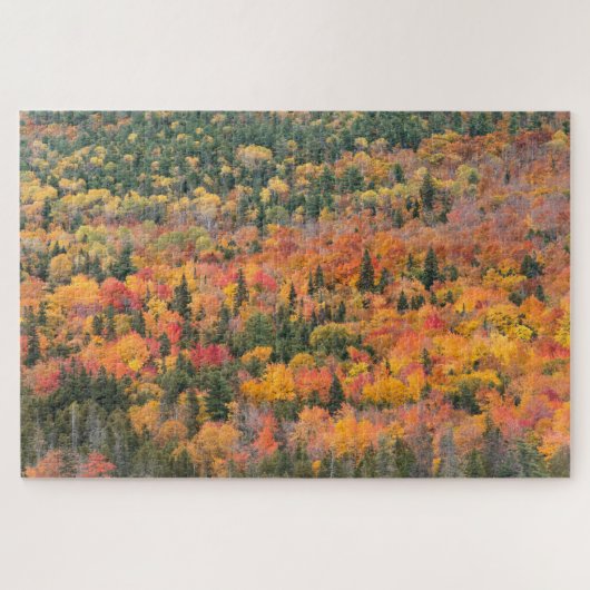 Herfstloof | Keweenaw schiereiland, Michigan Legpuzzel (Horizontaal)