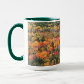 Herfstloof | Keweenaw schiereiland, Michigan Mok (Links)