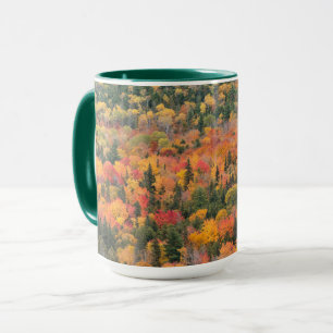 Herfstloof   Keweenaw schiereiland, Michigan Mok