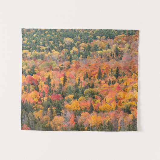 Herfstloof | Keweenaw schiereiland, Michigan Wandkleed (Voorkant (horizontaal))