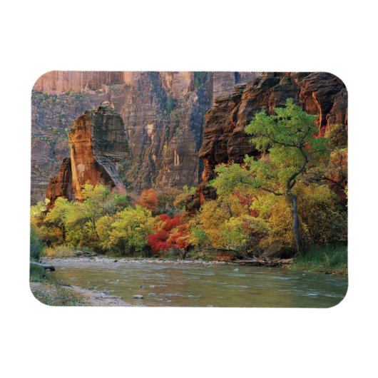 Herfstloof langs de Virgin River nabij de toegang Magneet (Horizontaal)