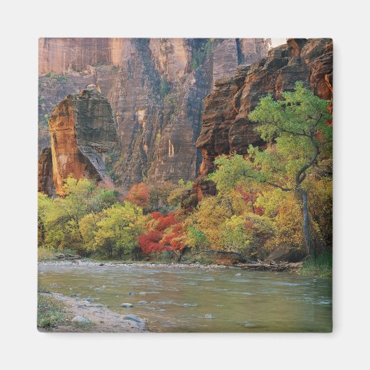 Herfstloof langs de Virgin River nabij de toegang Magneet (Voorkant)