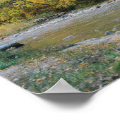Herfstloof langs de Virgin River nabij de toegang Poster (Hoek)