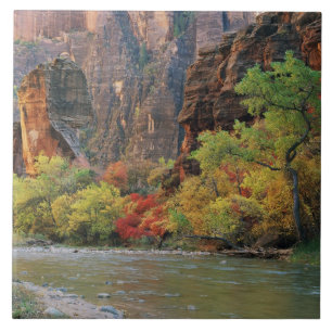 Herfstloof langs de Virgin River nabij de toegang  Tegeltje