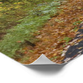 Herfstloof langs de weg, Zuid-Vermont, VS Poster (Hoek)
