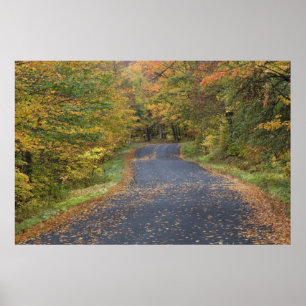 Herfstloof langs de weg, Zuid-Vermont, VS Poster