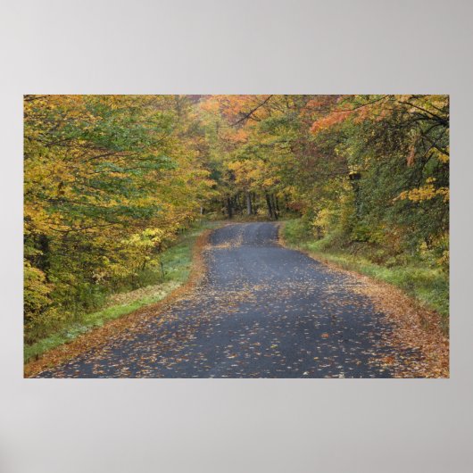 Herfstloof langs de weg, Zuid-Vermont, VS Poster (Voorkant)