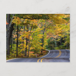 Herfstloof langs Highway 41 Briefkaart