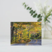Herfstloof langs Highway 41 Briefkaart (Staand voorkant)