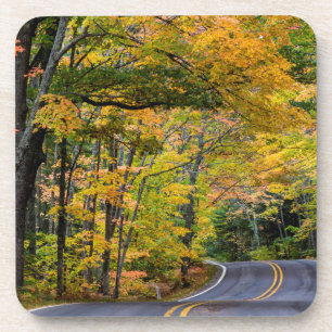 Herfstloof langs Highway 41 Onderzetter