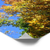 Herfstloof, Massanutten Poster (Hoek)