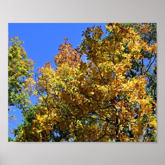 Herfstloof, Massanutten Poster (Voorkant)