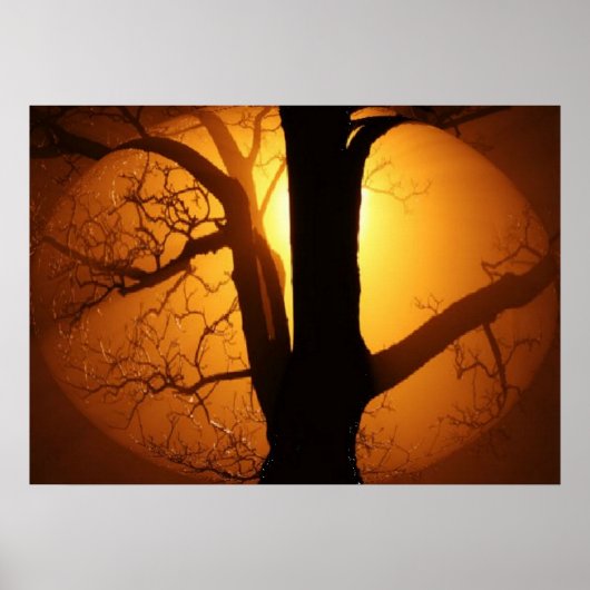 Herfstmaan schijnt door de boomprint poster (Voorkant)