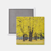 Herfstmagneet Magneet (Voorkant / Achterkant)