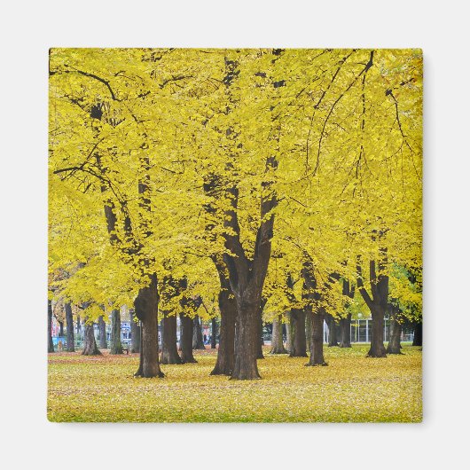 Herfstmagneet Magneet (Voorkant)