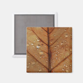 Herfstmagneet Magneet (Voorkant / Achterkant)