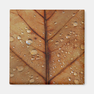 Herfstmagneet Magneet