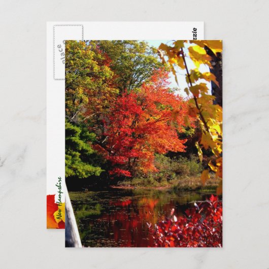 Herfstmeer 4 briefkaart (Voorkant / Achterkant)