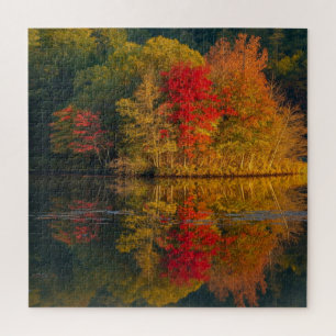Herfstmeer en bomen puzzel