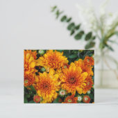 Herfstmoeders Briefkaart (Staand voorkant)