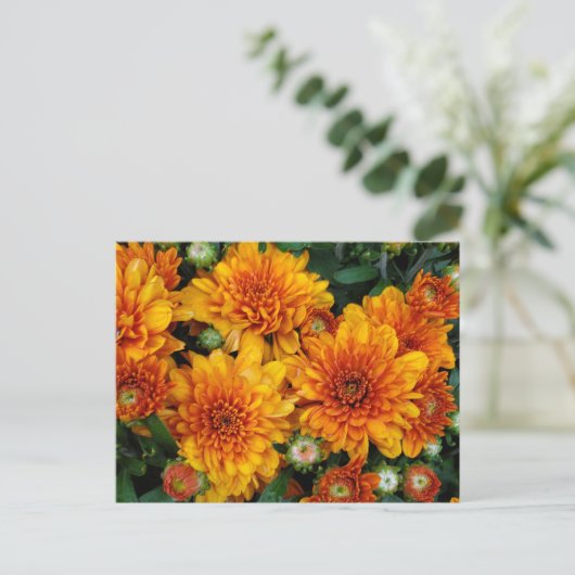 Herfstmoeders Briefkaart (Staand voorkant)